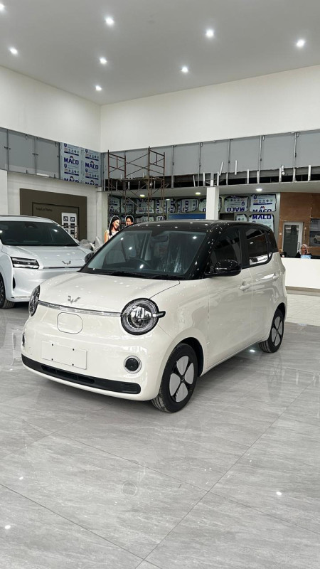Aira EV